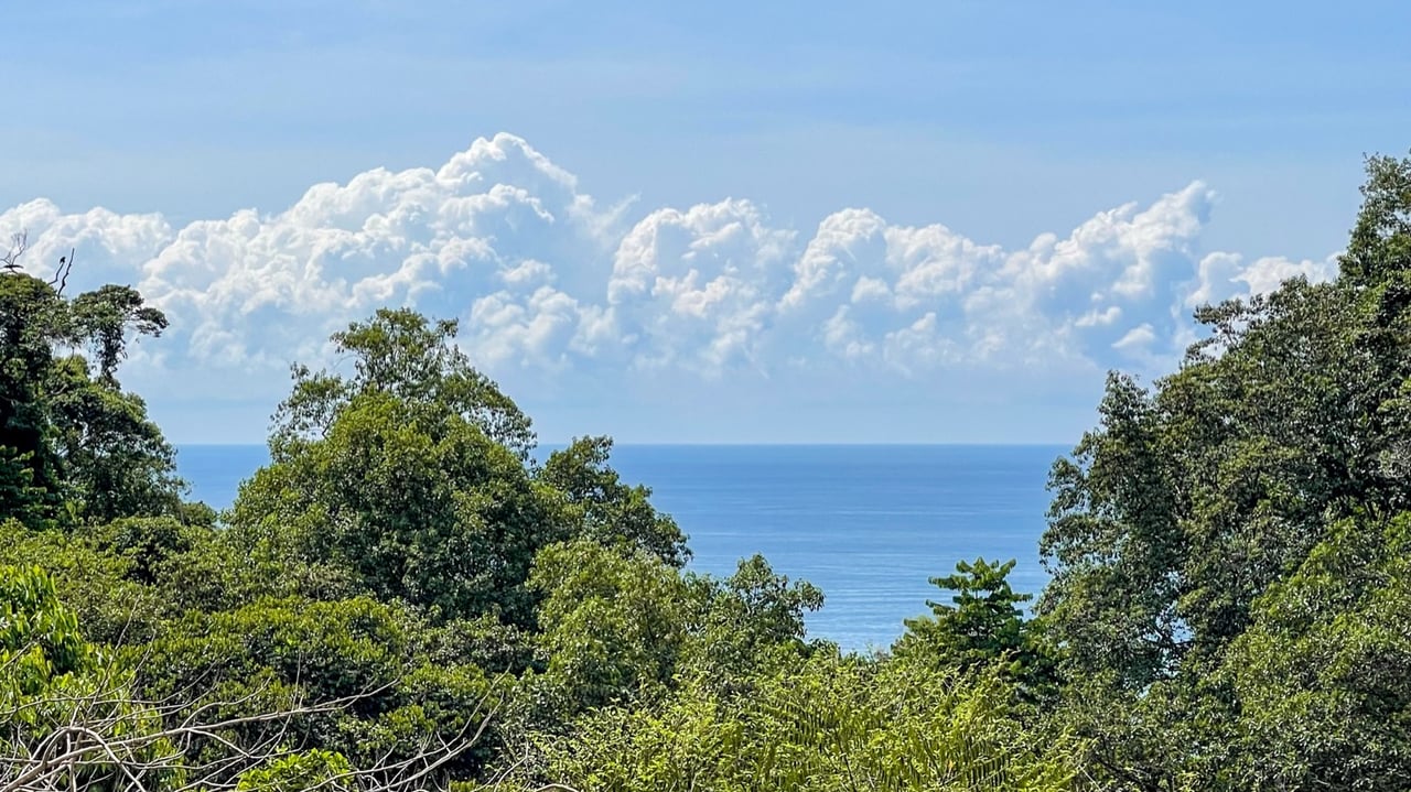 Boutique Oceanview Hotel & Spa: A Rare Investment Opportunity in Costa Rica