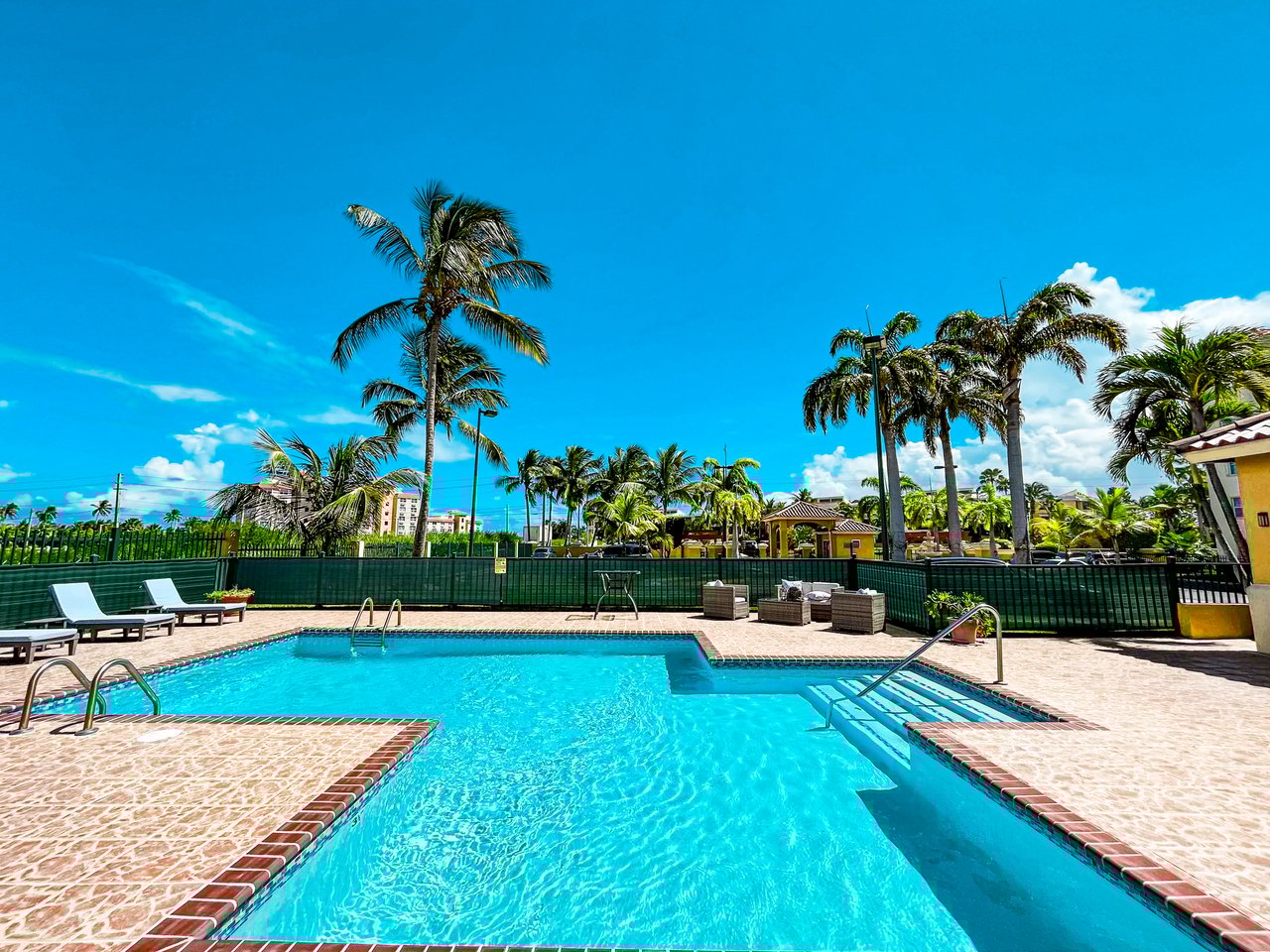 Royal Palm B-502