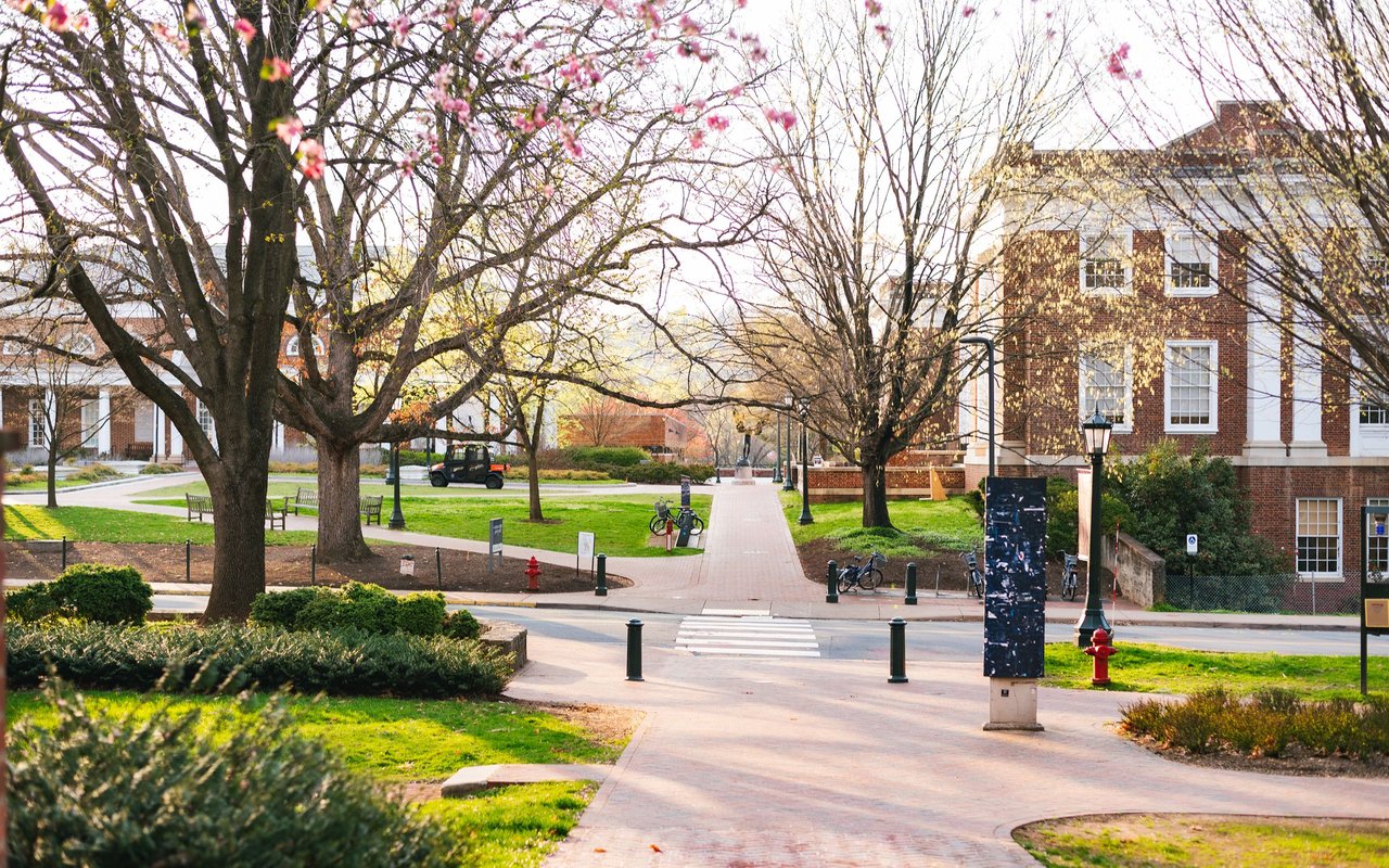 Falls Church City