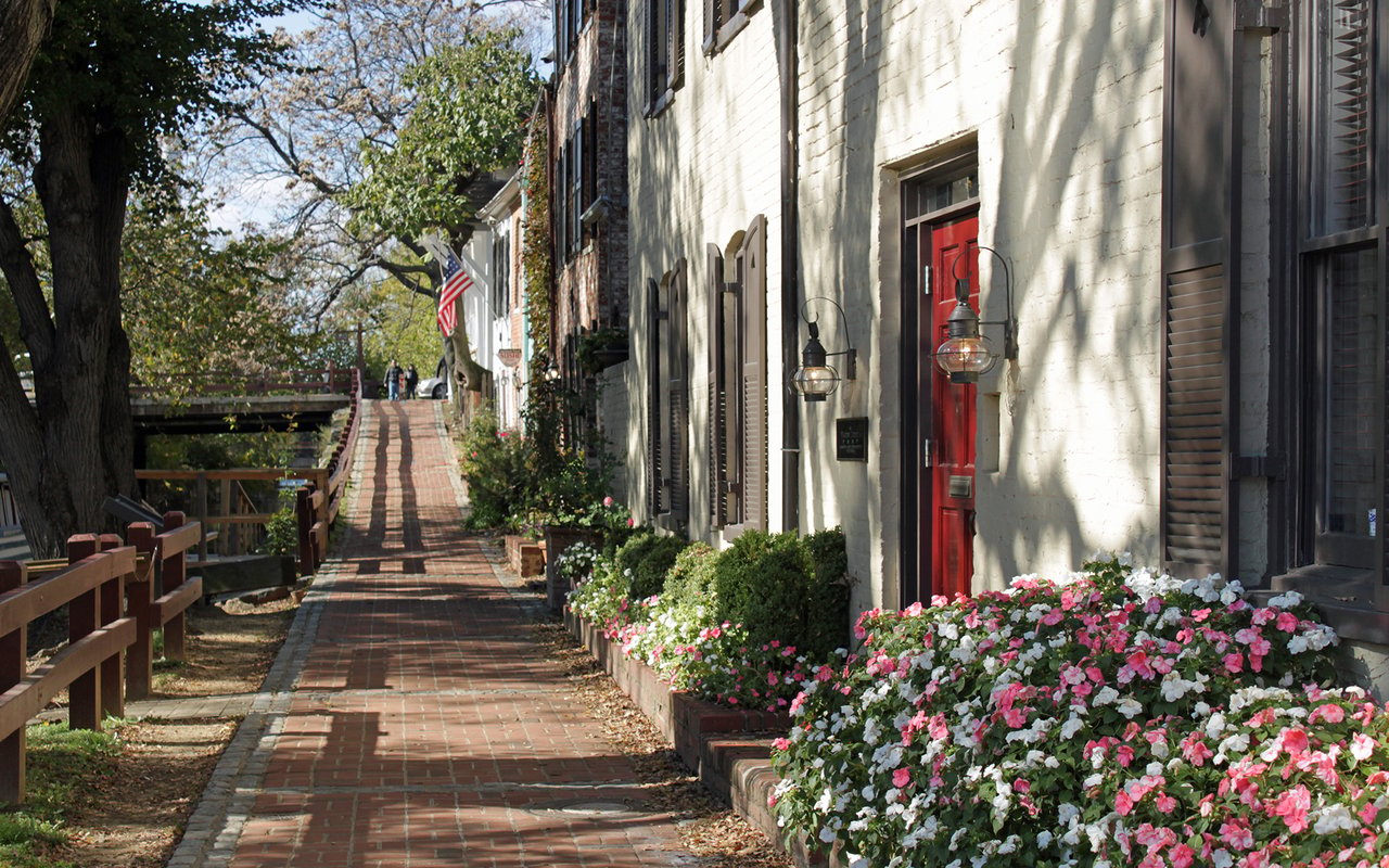 Everyday Life In NW DC: Homes, Parks, And Culture