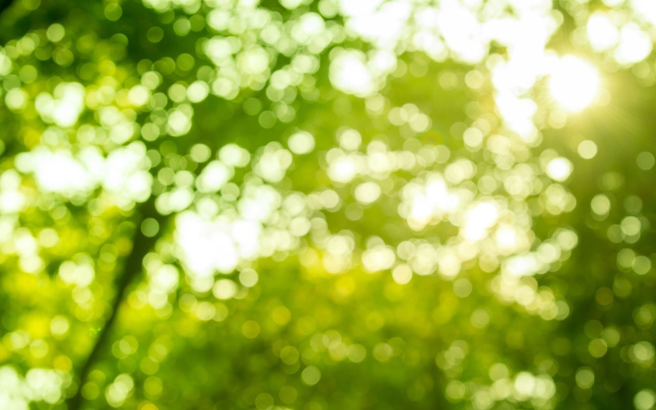 Capturing the Essence of Spring: Jerad Cotten, the Ranch Broker with a Keen Eye