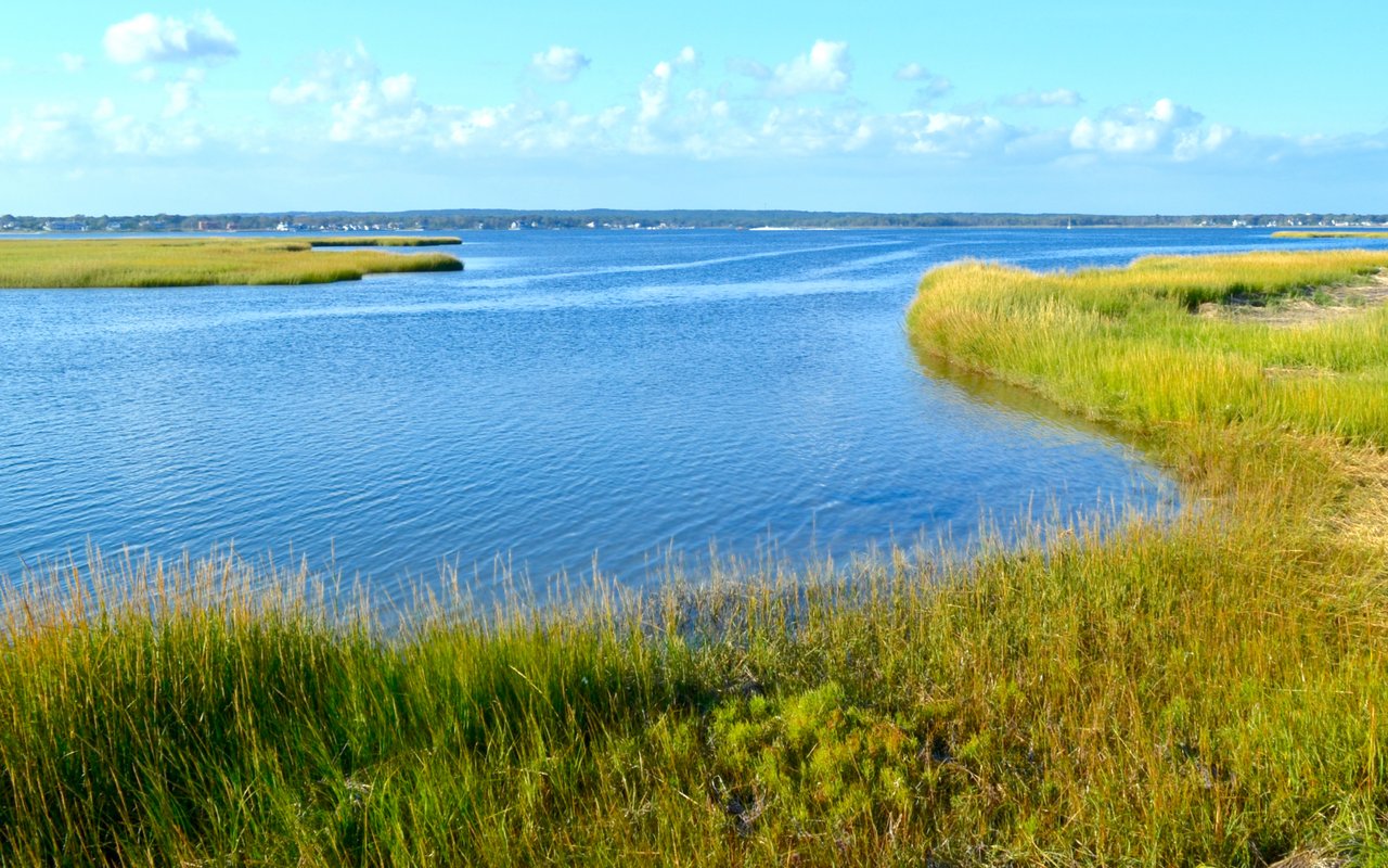 Oyster Bay