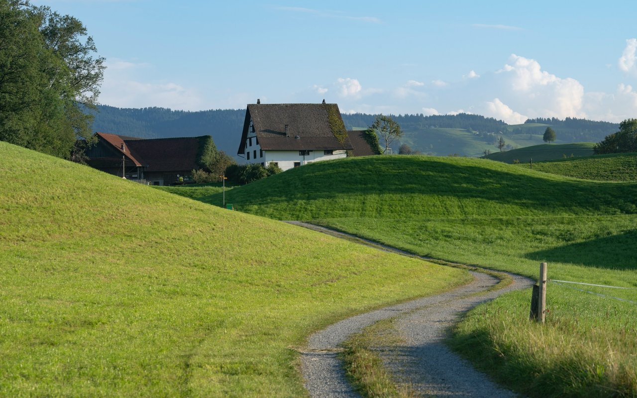 Rolling green hills with a farmhouse and a gravel path curving through the foreground.