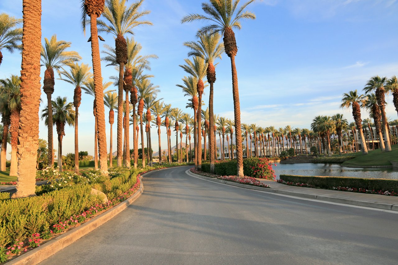 Palm Desert
