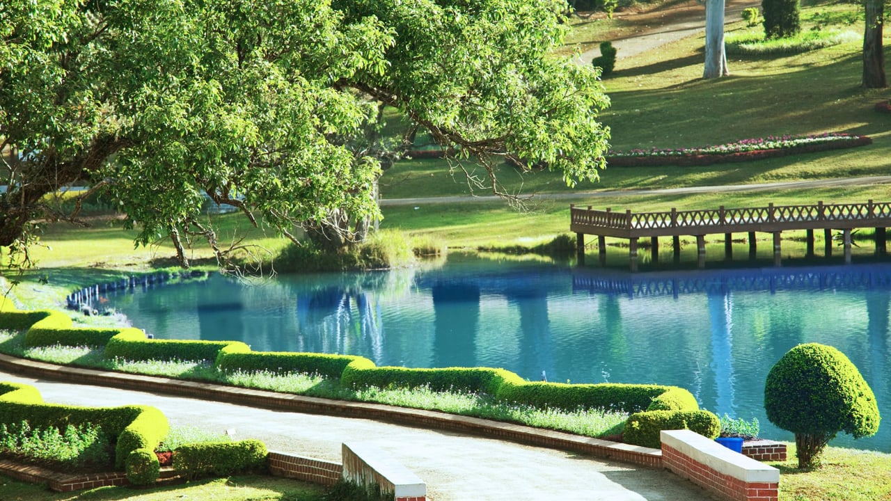 The Woodlands