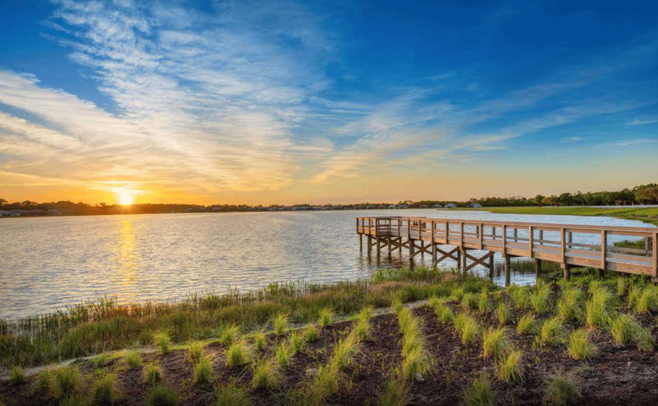 Vivid Shores