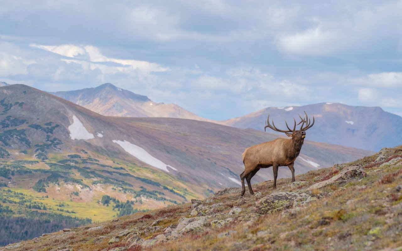 Trophy Elk and Mule Deer Hunting Ranch for sale in Glade Park Colorado