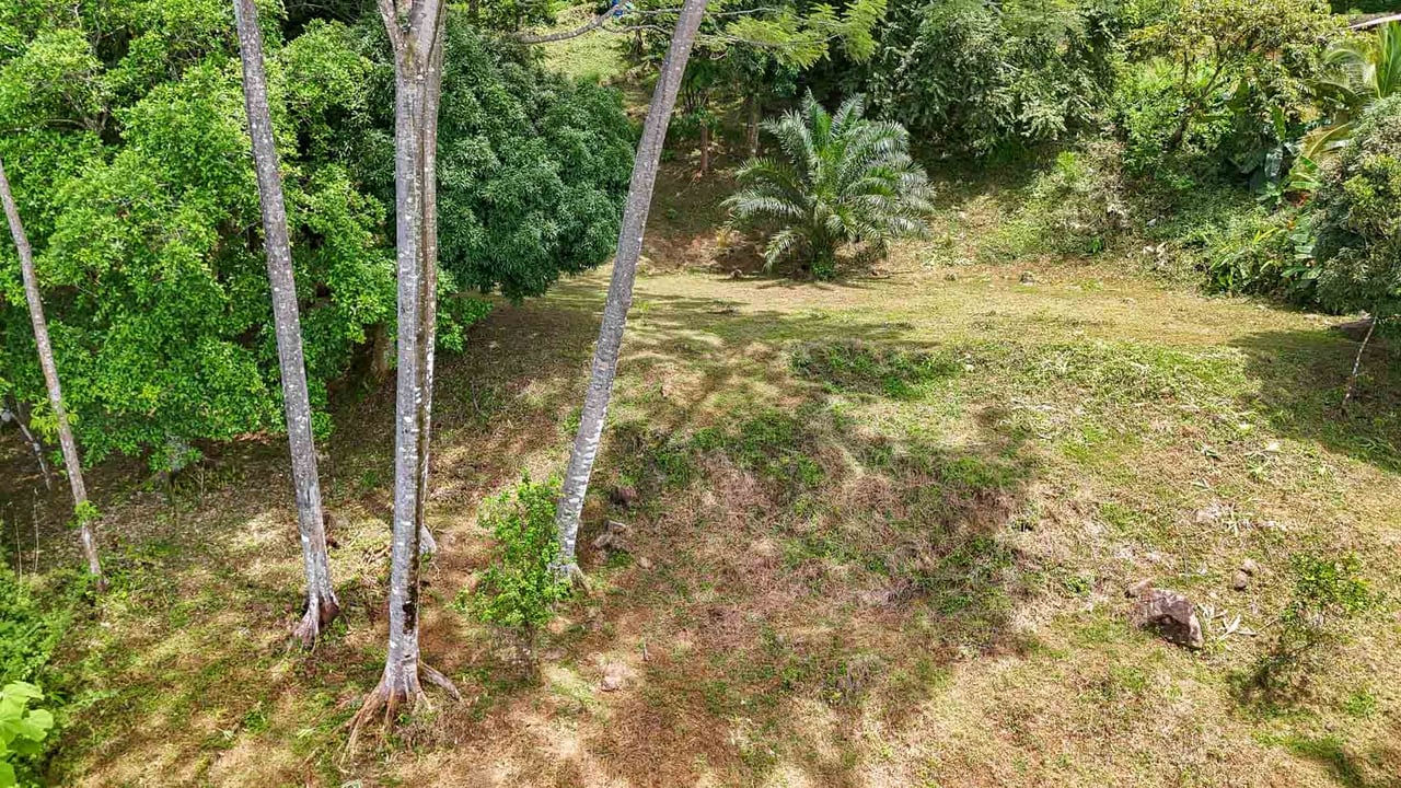 Large Uvita Lot With Whale’s Tail Ocean Views, Sunsets & Legal Water – Ready to Build!