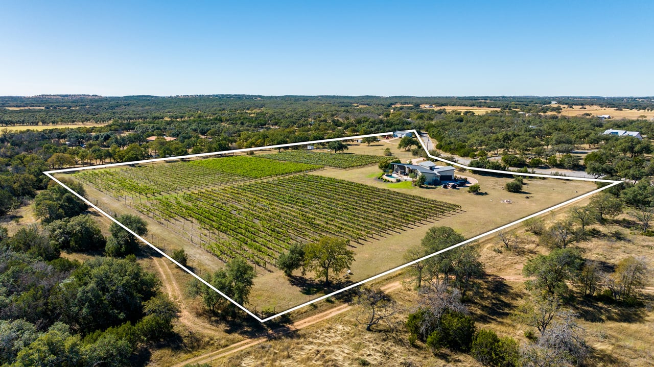 Round Mountain Vineyard