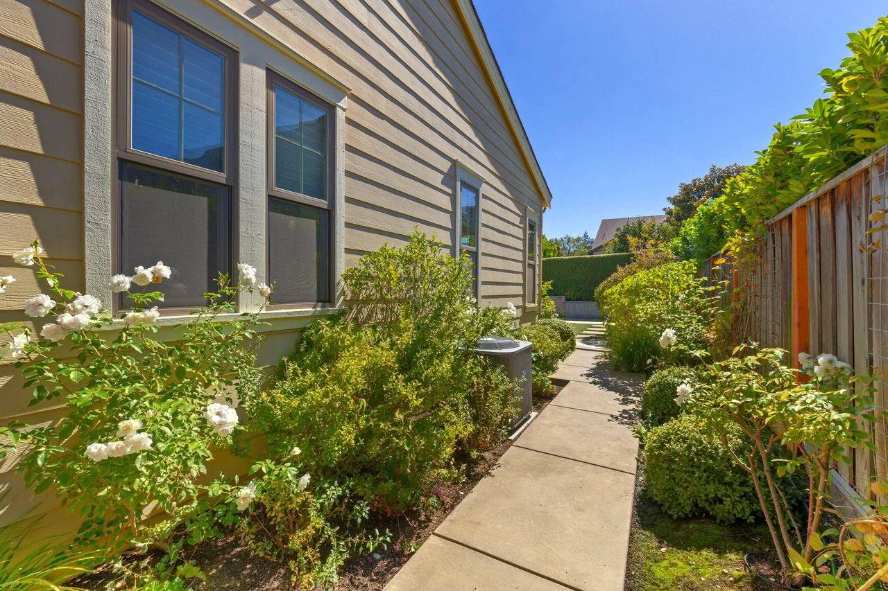 Desirable 'Rose Lane'