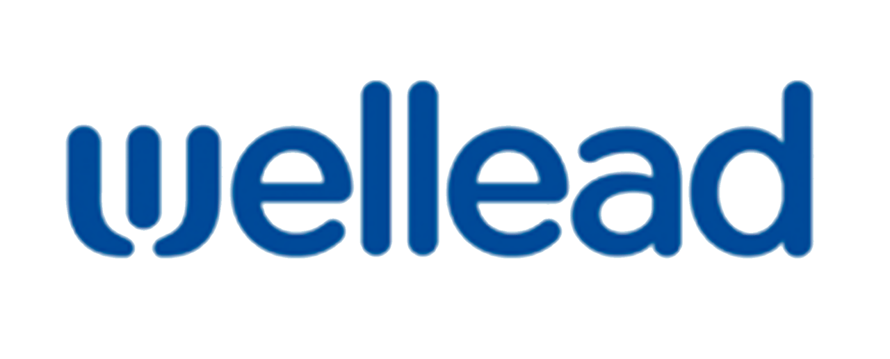 Wellead