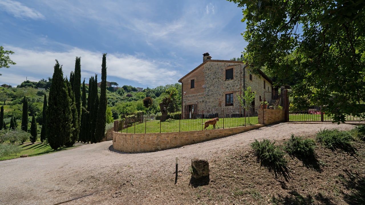 ARGENTO VIVO