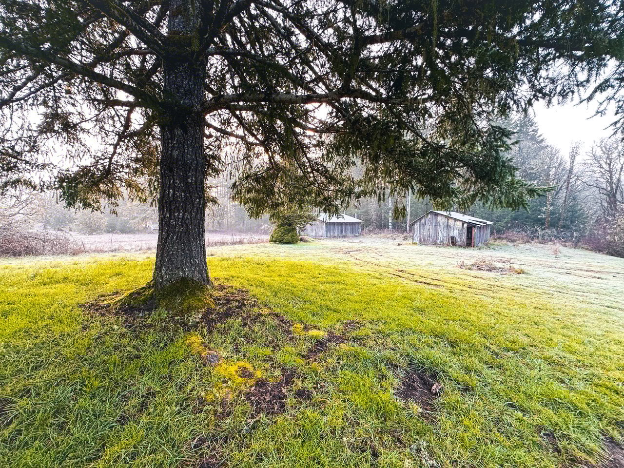 HARRIS FARM & FOREST