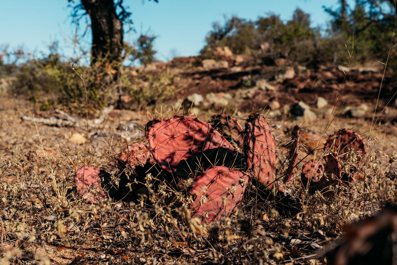 510 Carls Pass Llano County 378 Acres