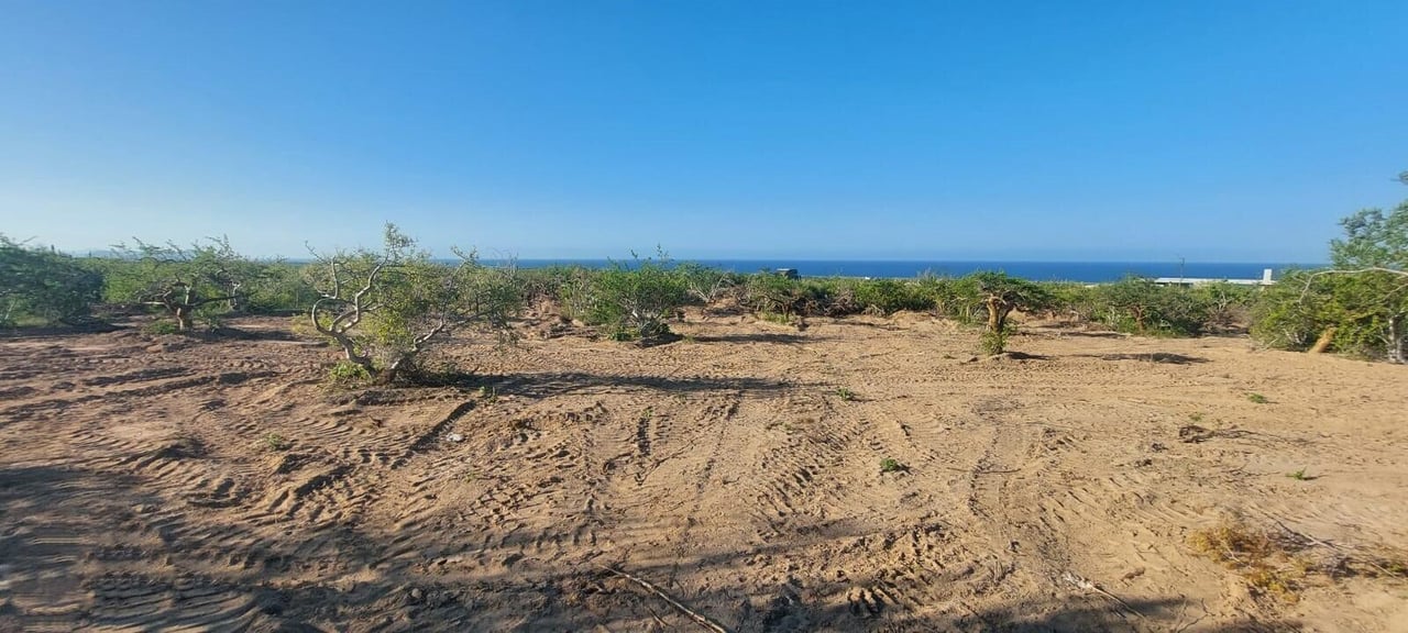 Las Playitas Nature Lot