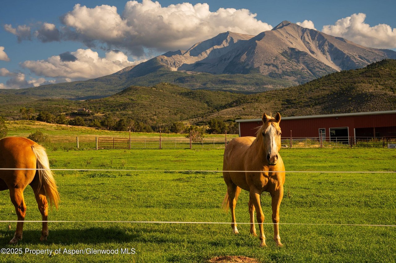 1644 Prince Creek Road