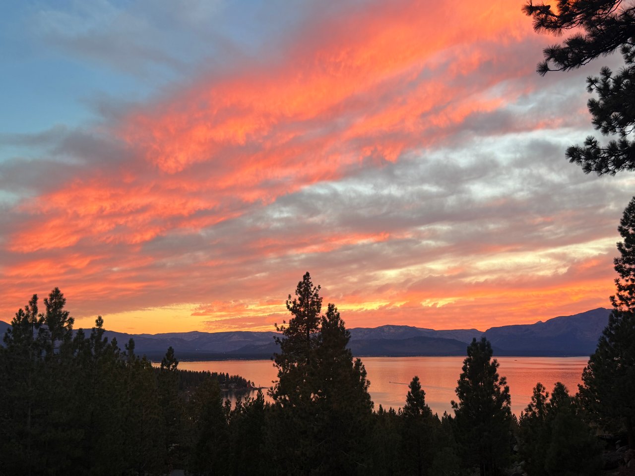 Sunset over a lake and mountain ridges, framed by pine trees beneath vivid pink-orange clouds.
