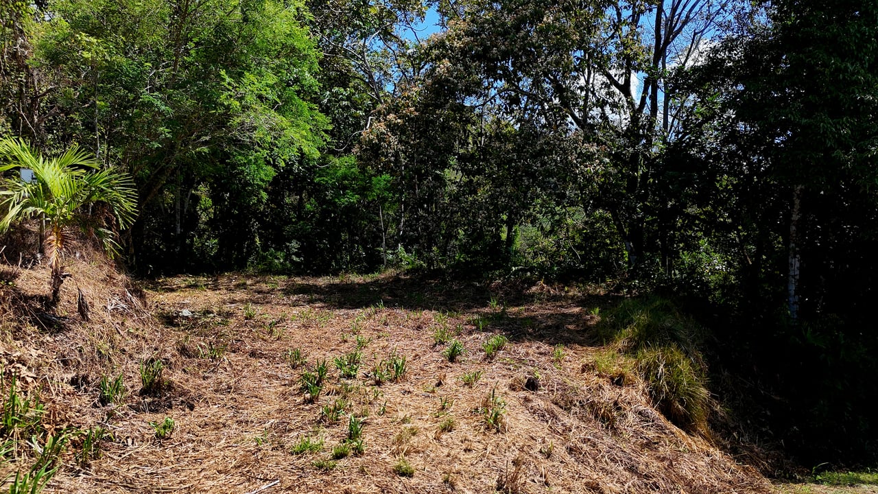 Ocean View Property with Plantel and Trails in Hatillo – Ready to Build