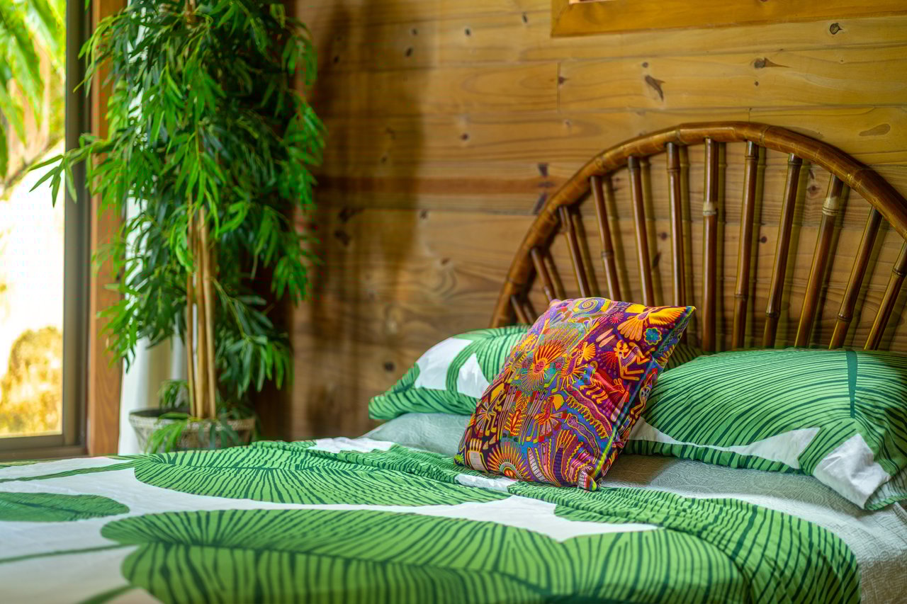 VILLA KRISTINA MARIA - 3.84 ACRES - PERLA DE BALLENA ESTATES