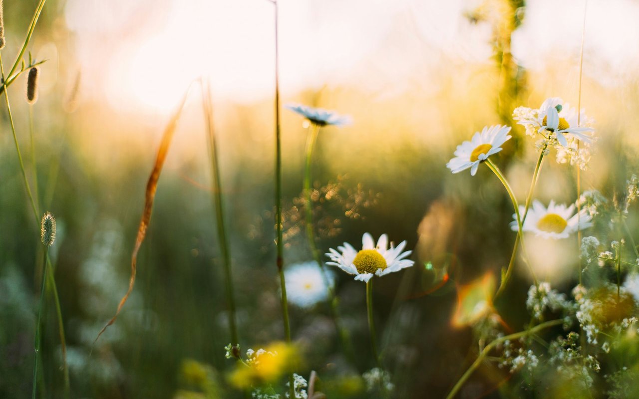 Getting Ready for Spring Market