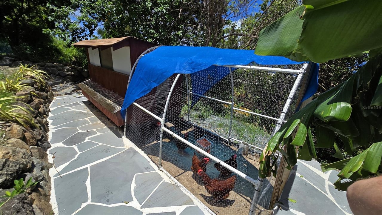 3 LA QUINTA MELONES BEACH BARRIO FLAMENCO