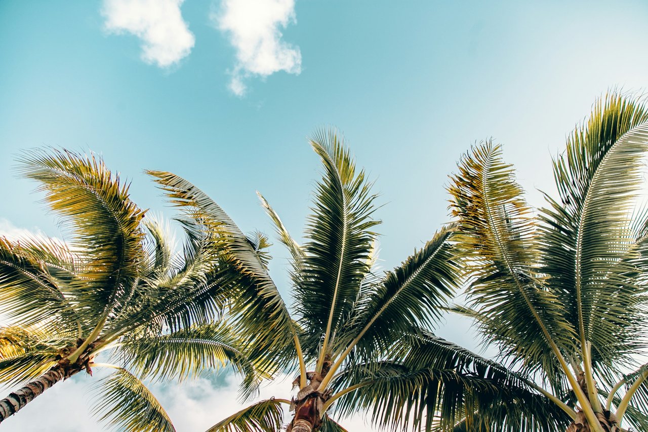 The Real Estate Super Bowl: Who Wins This Season?