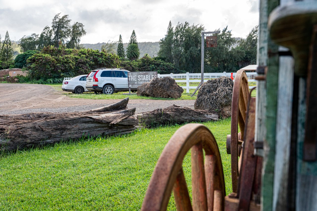 The Green Pineapple Estate