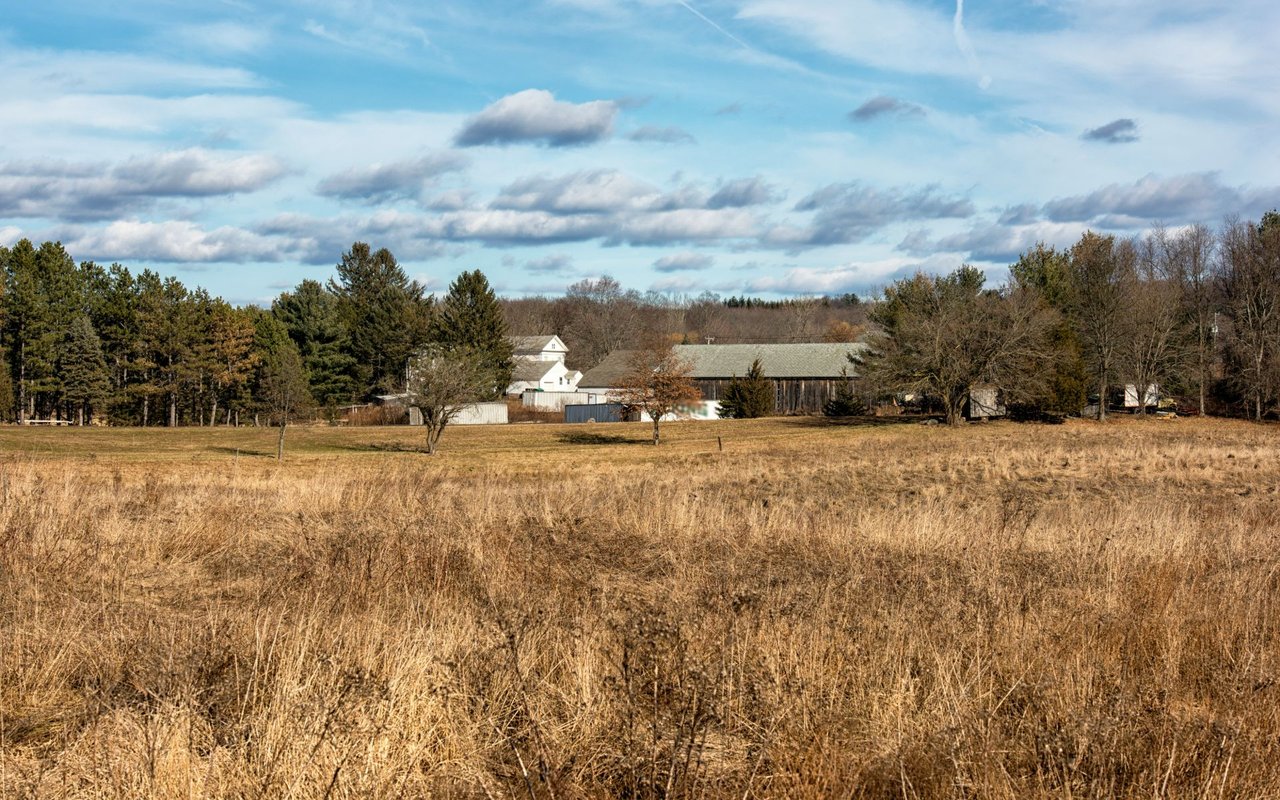 Downtown South Windsor, Connecticut, featuring historic colonial buildings, tree-lined streets, and a mix of modern shops and restaurants.