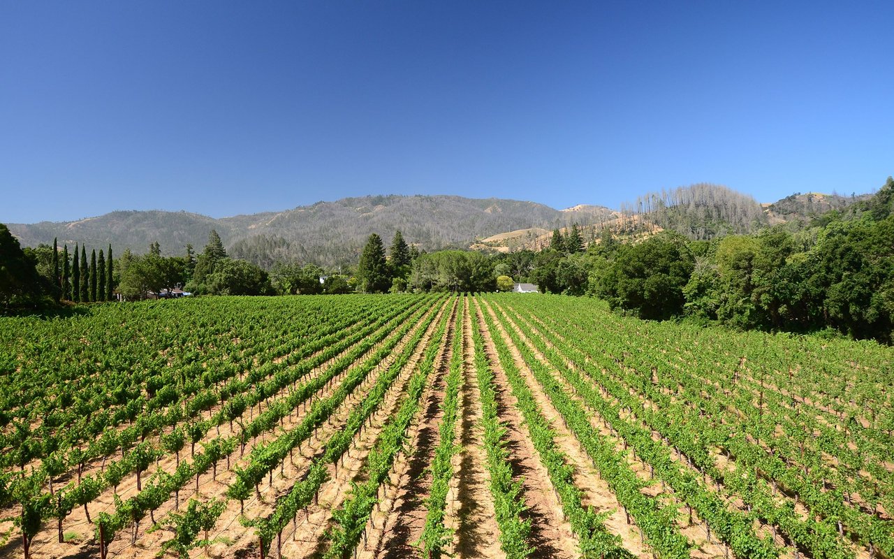 Napa Valley