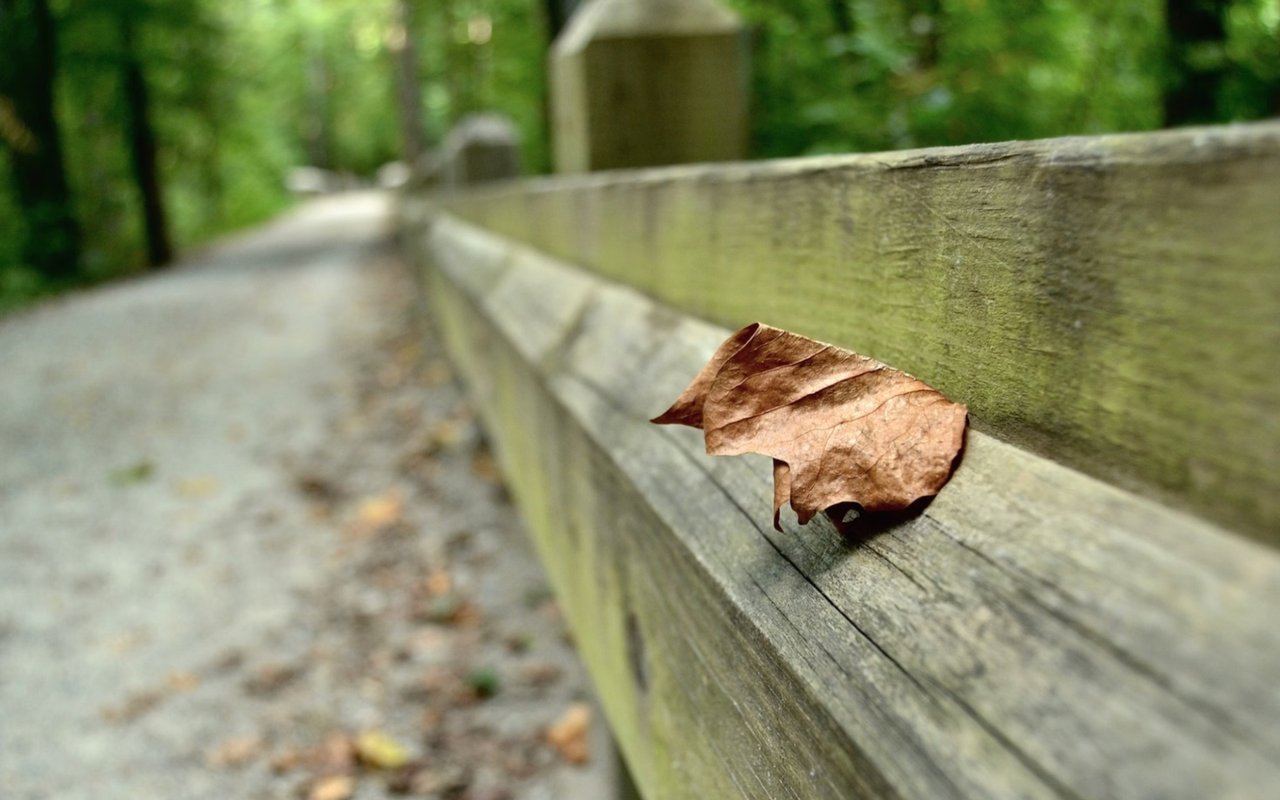 How to Make the Most of Your Move to Midlothian, VA