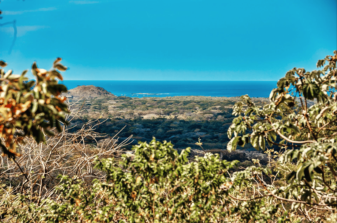 Mountain Oasis Retreat - 4 Acre Oceanview - Tamarindo