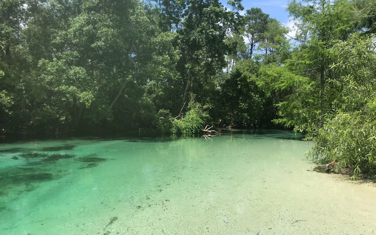 Weeki Wachee