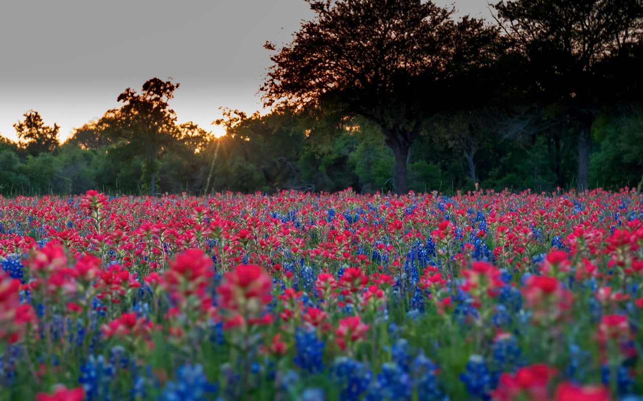 Somerset Park, TX