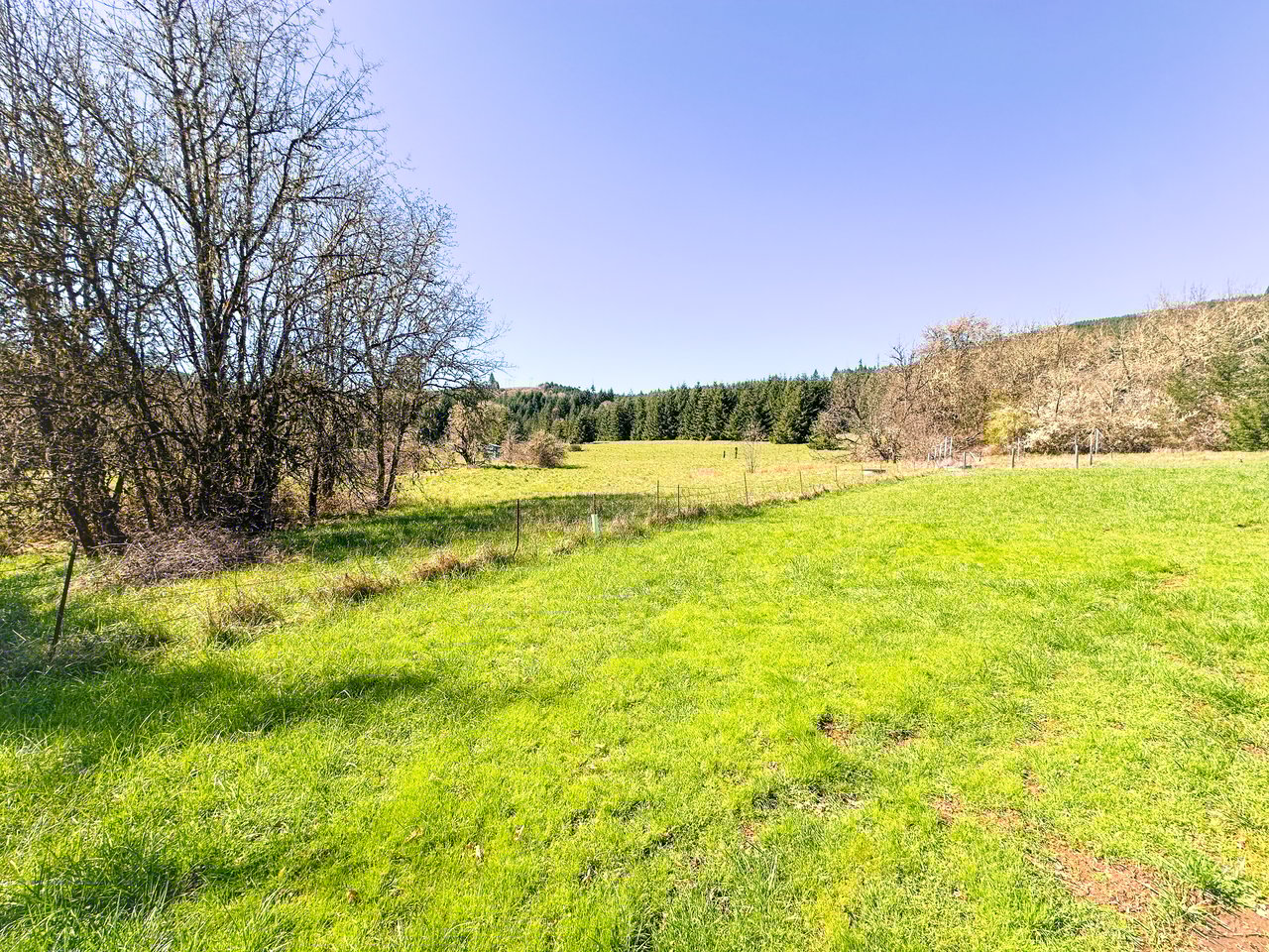 HARRIS FARM & FOREST