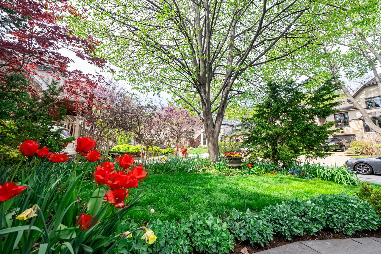 22 Worthington Cres - a Gem in Bloor West Village