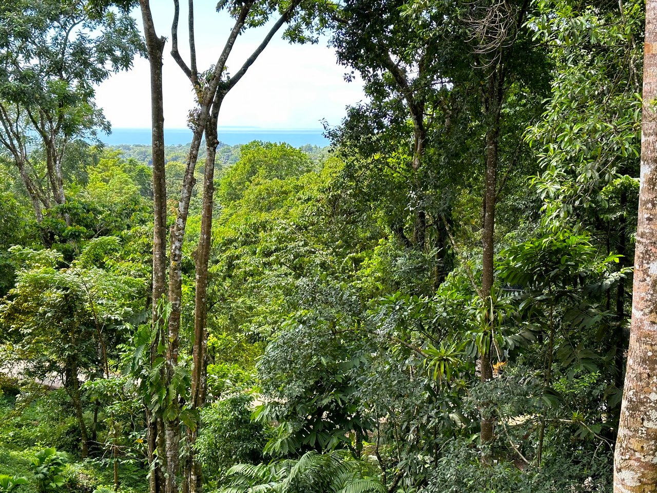 FIRE SALE! Jungle, Rivers, a Waterfall and Panoramic Ocean View