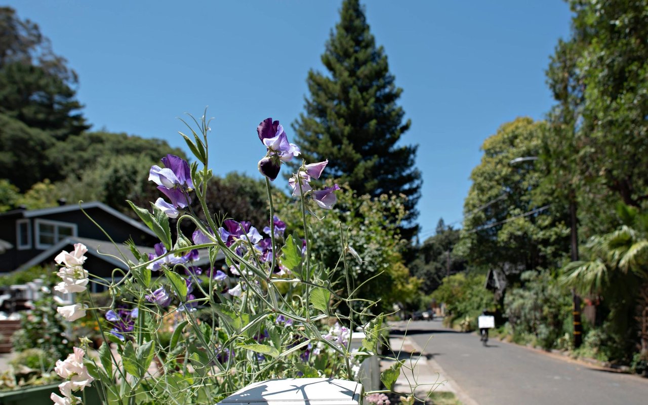San Anselmo