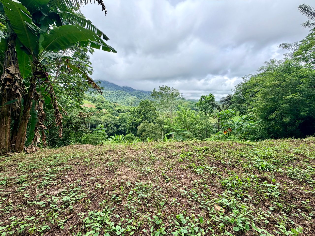 Tres Ríos Jungle Sanctuary | Ready-to-Build Lot Surrounded by Nature