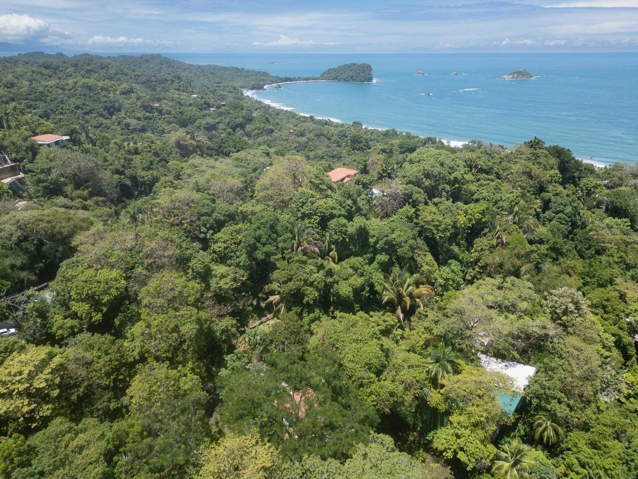 Ocean View Estate Property