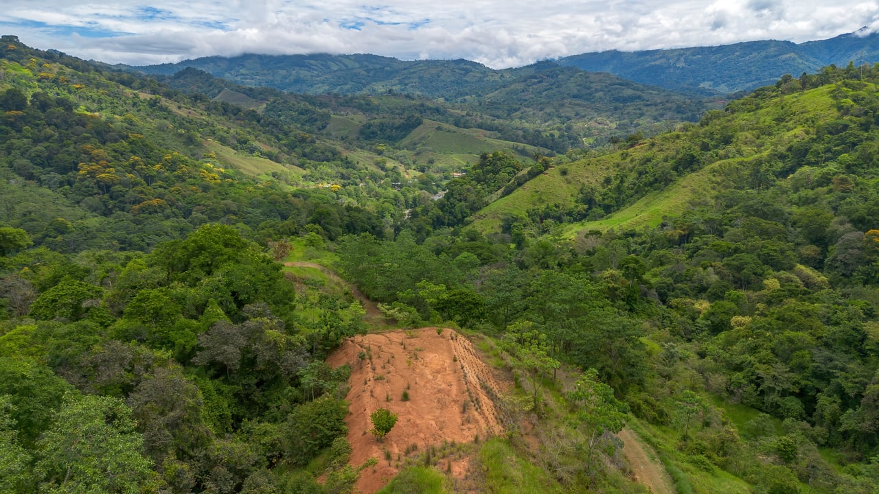 60 Hectares in Platanillo 