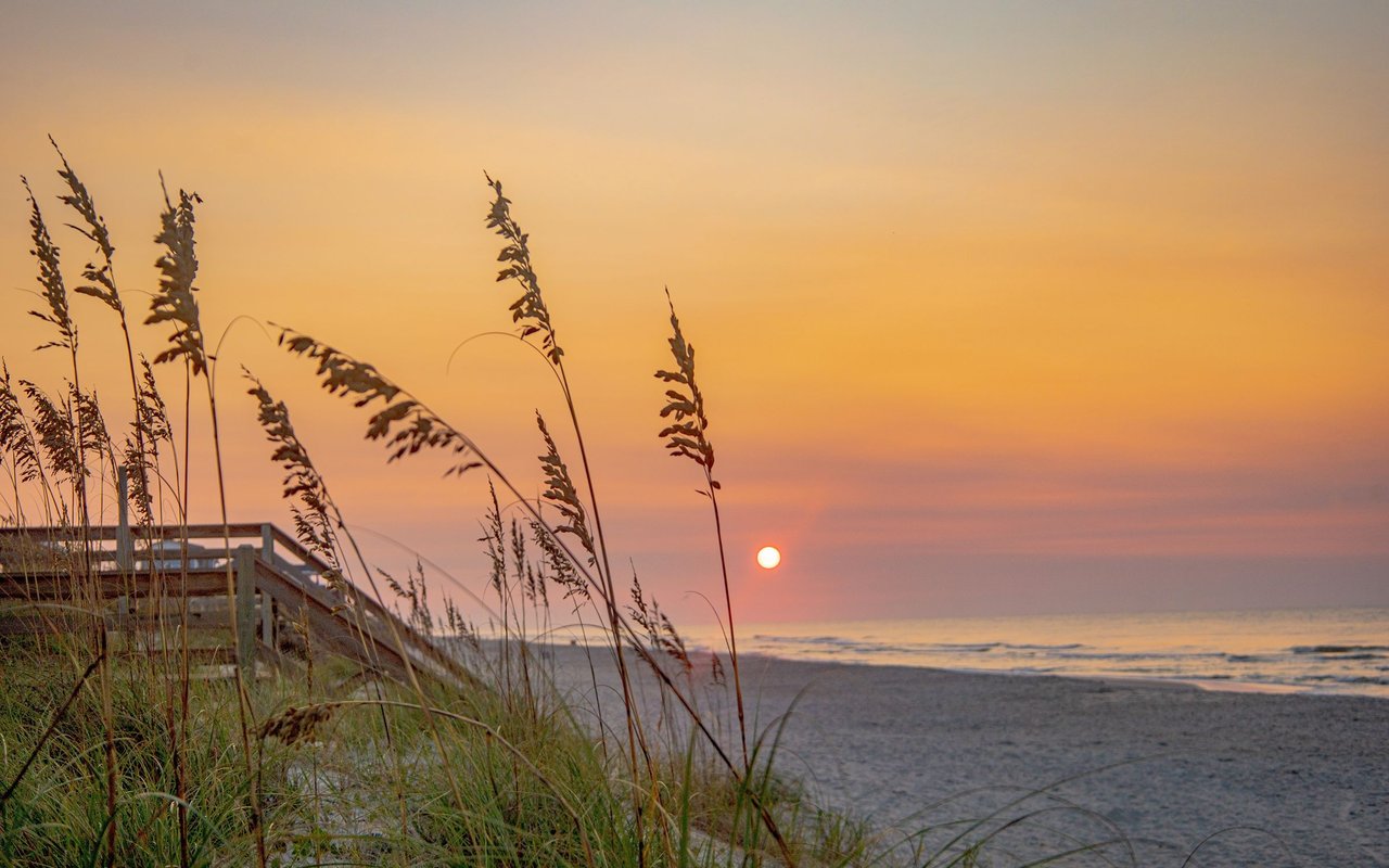 Carolina Beach