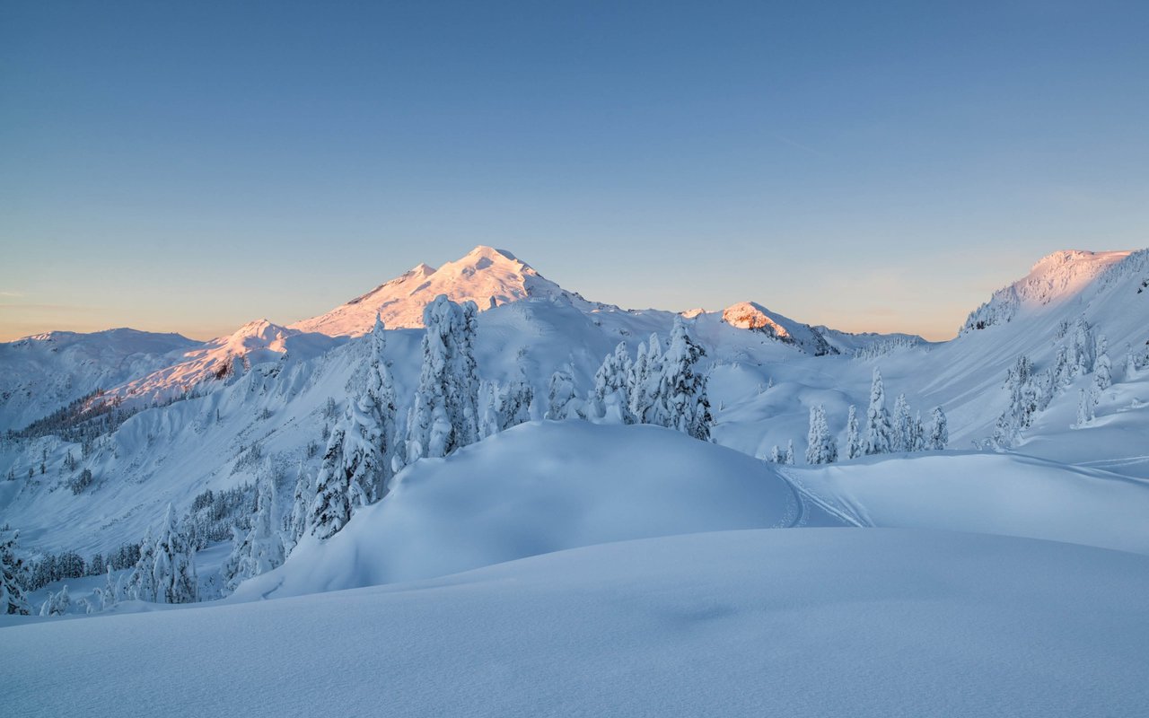 The Seattle Rennie Review | February 2025