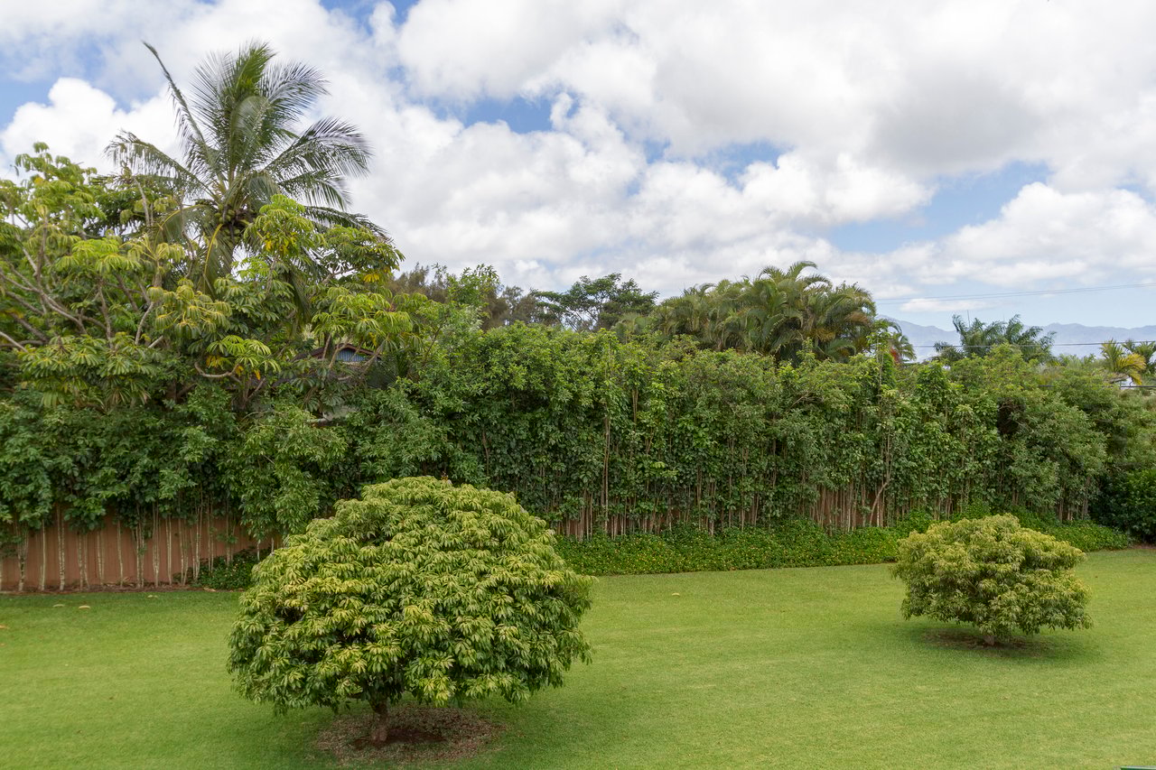 The Green Pineapple Main House