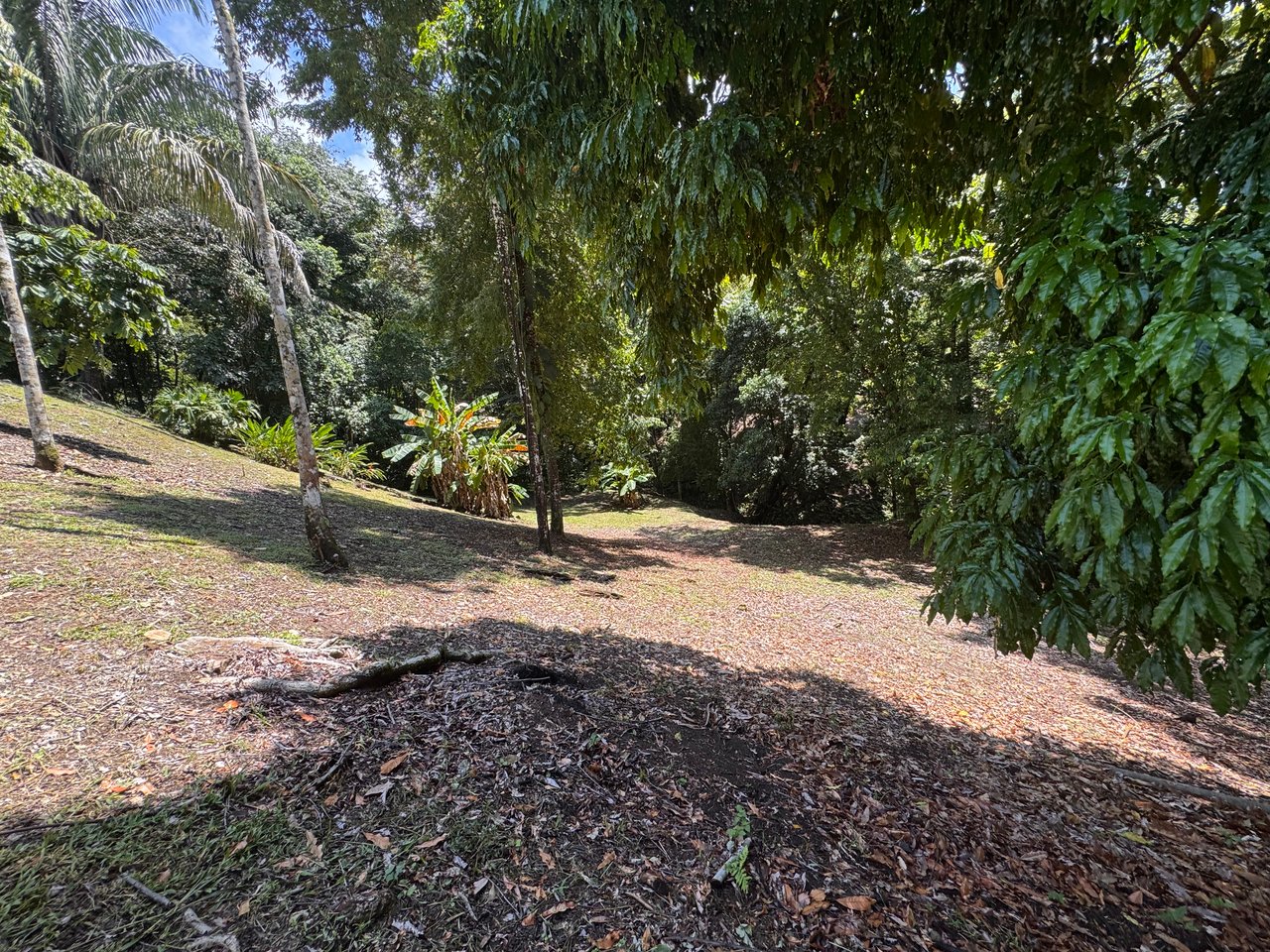 Walk to the Playitas beach, Titlled Building lot