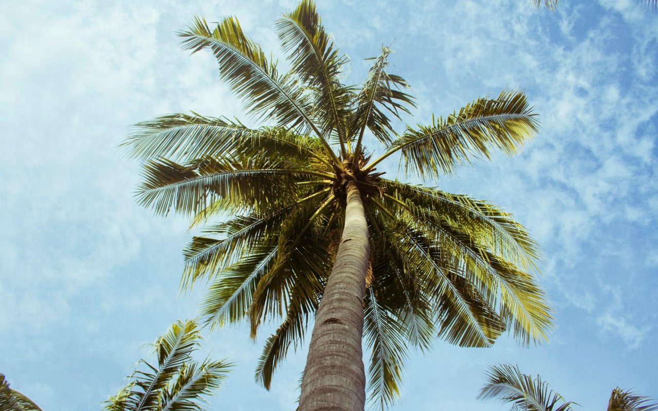 Everything You Need to Know About Moving to WaterColor, Florida