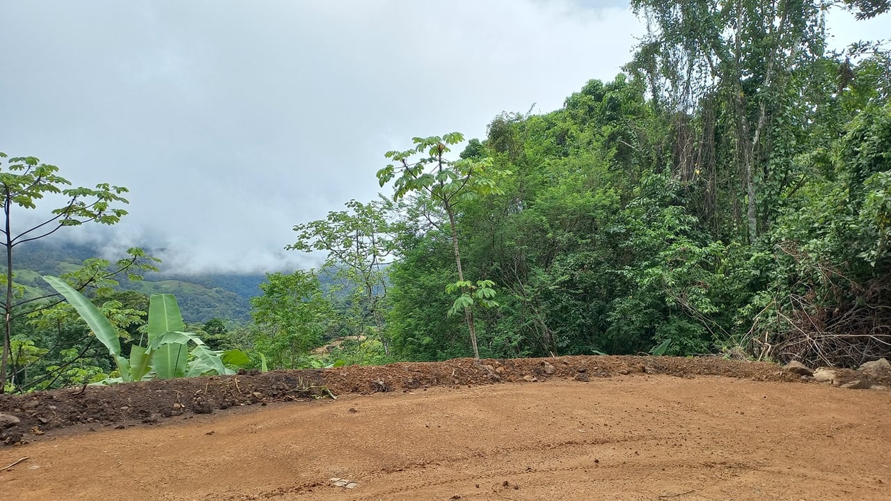 Mountain View Land with Several Building Sites and Mature Fruit Trees