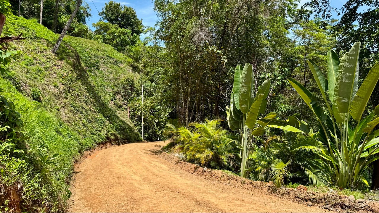 Exclusive and Unique Ocean Views lot in the Hills of Uvita!
