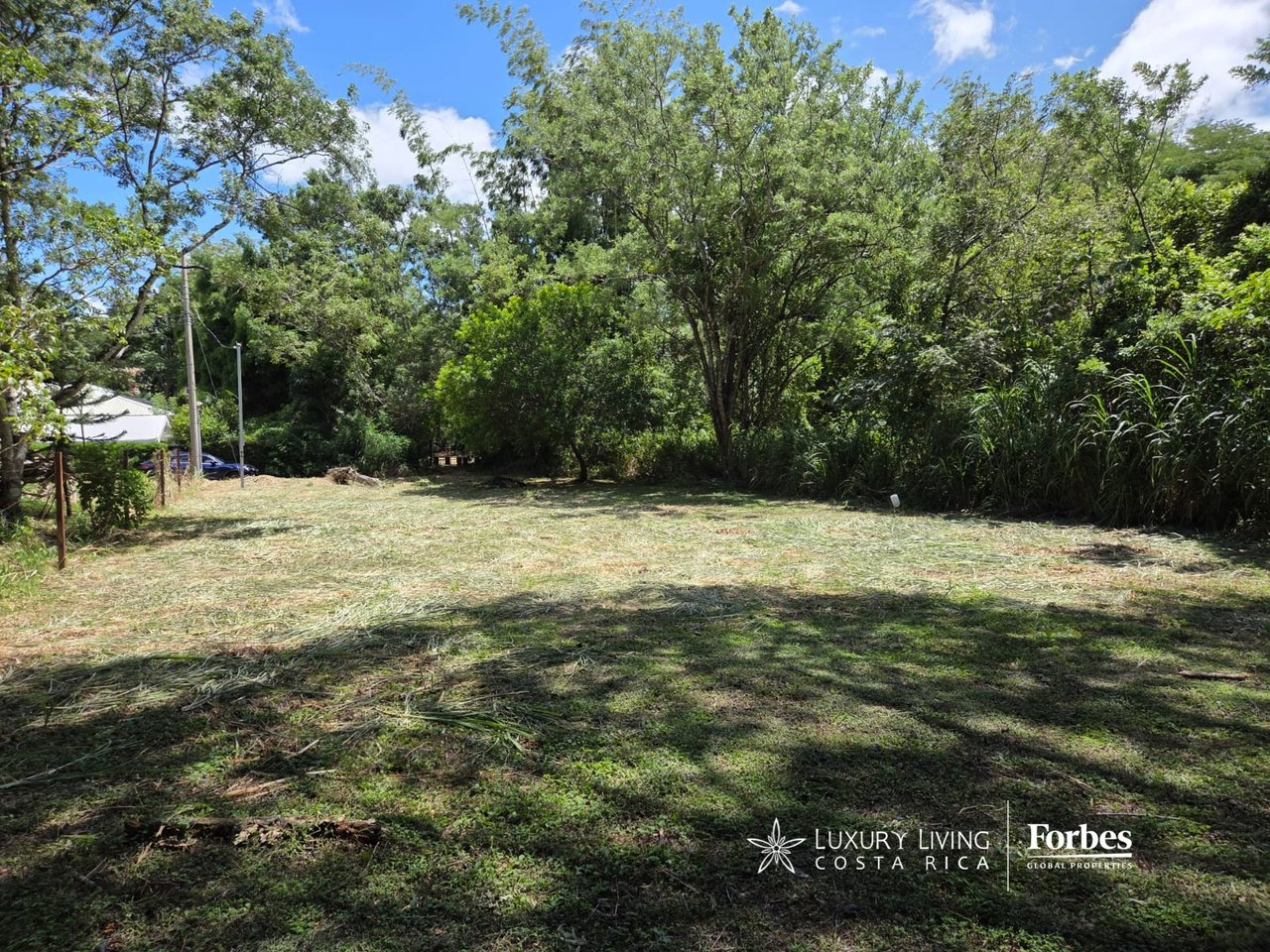 Cleared building lot surrounded by mature trees and dense vegetation.