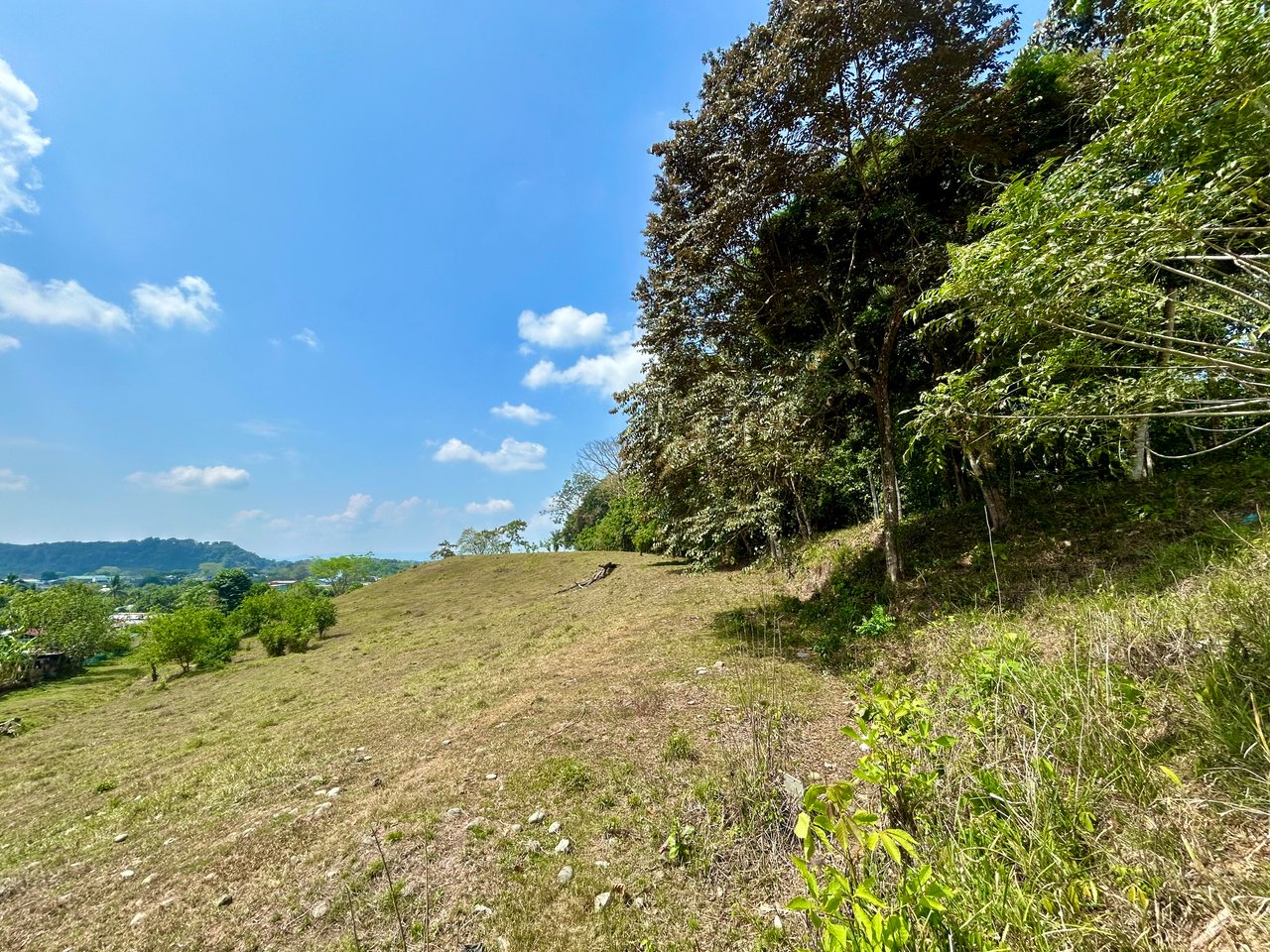 Mix Use Land in Palmar Norte with Costanera Access and Several Potential Buiding Sites - Over 10 Acres