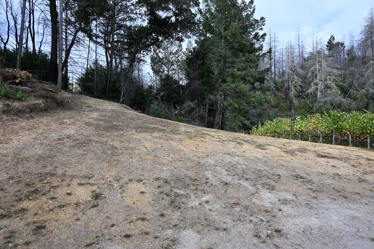 2910 Spring Mountain Rd